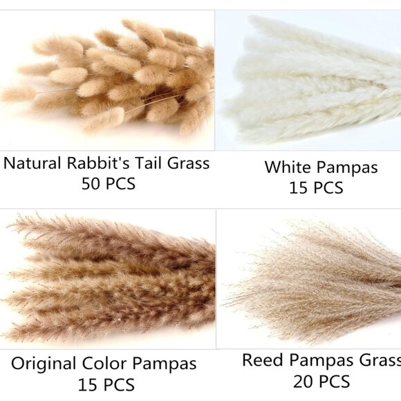 100 PCS Boho Pampas Grass Tails Dried Flowers - Picture 4 of 7